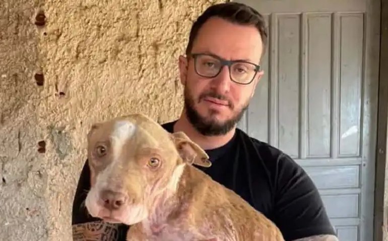 PL propõe Pensão Alimentícia para Pets, proposta tramita na Câmara