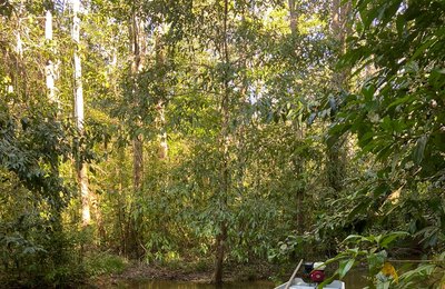 Passeio na Lagoa de Jequiá acontece neste domingo com abertura do projeto Rota Lagunar