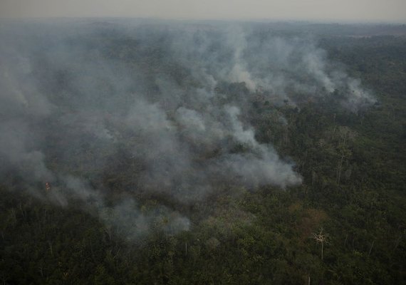 Em audiência, Flávio Dino diz que há uma pandemia de incêndios no país
