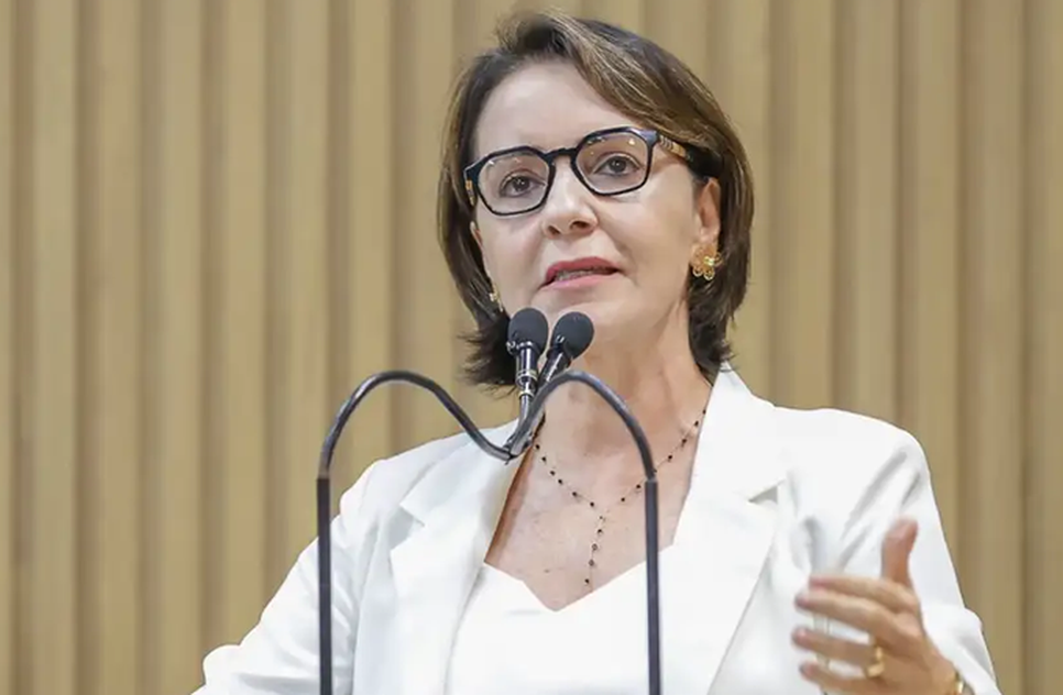 Captura de tela 2025-01-27 095537 / Foto: Foto: Gilton Rosas/Divulgação