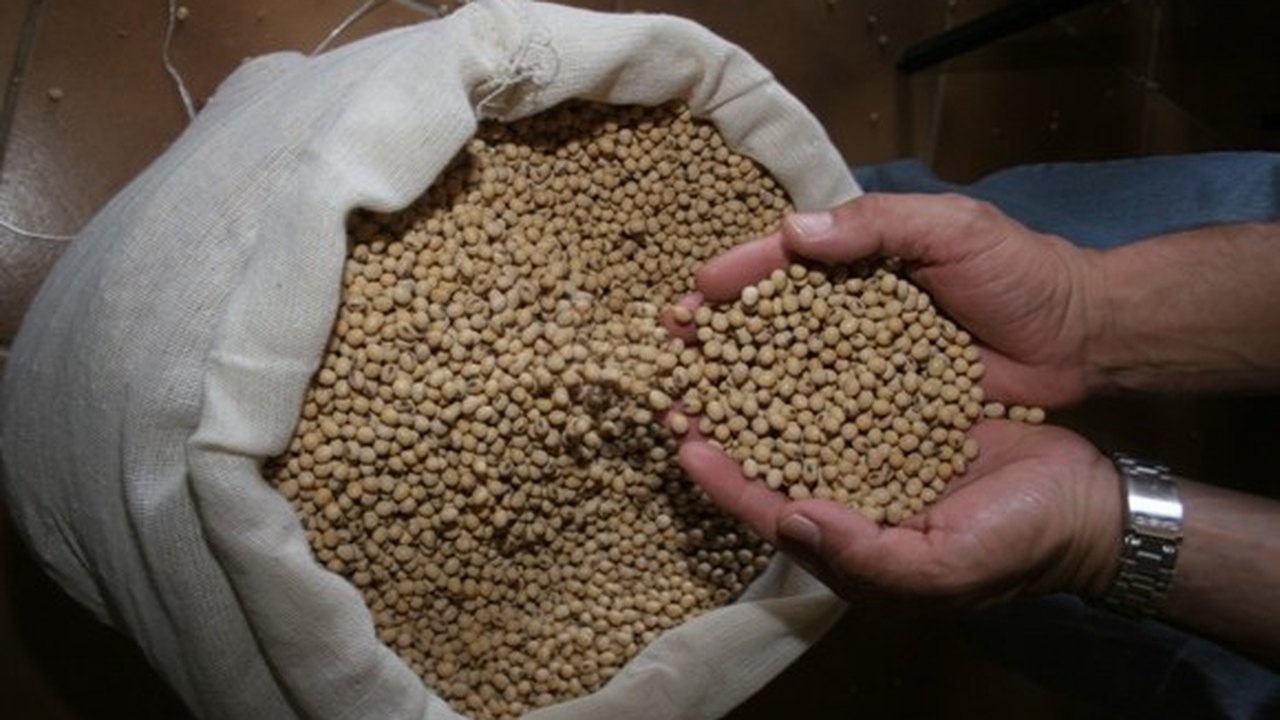 Inclusão produtiva chega ao Semiárido graças ao Fundo de Erradicação da miséria