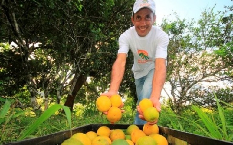 Estado promoverá primeiro seminário alagoano sobre fruticultura