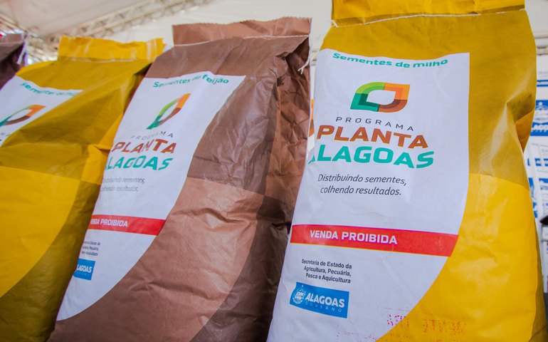 Governo de Alagoas lança Programa Planta Alagoas nesta segunda (18)