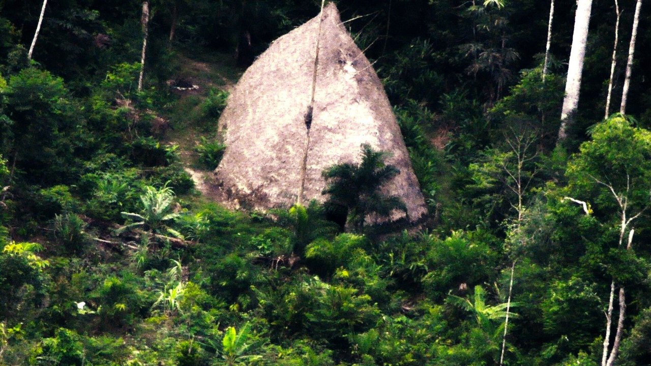 Indígena de tribo isolada faz contato inédito no Amazonas, informa Funai