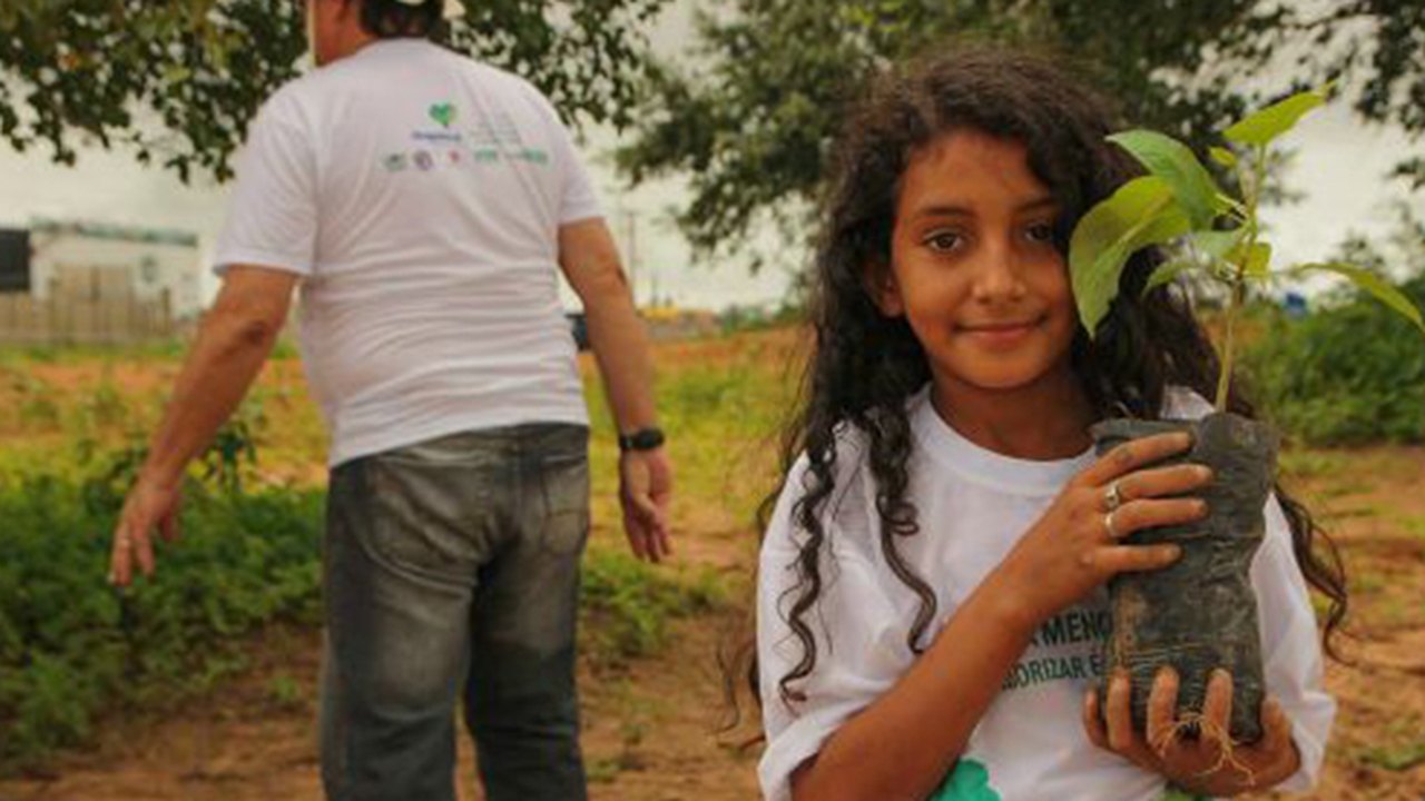 Com Dia da Árvore, Arapiraca está ficando cada vez mais verde