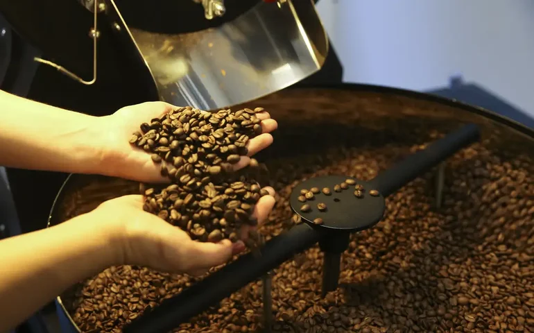Produção brasileira de café em 2025/26 deve cair 0,4%, para 65,6 milhões de sacas, diz StoneX