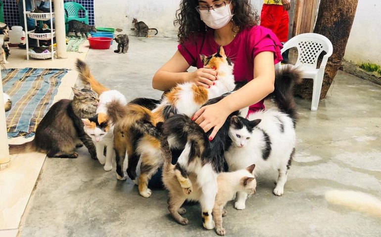 Teca Nelma cobra urgência do Hospital Público Veterinário de Maceió