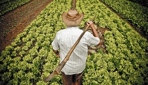 agricultor