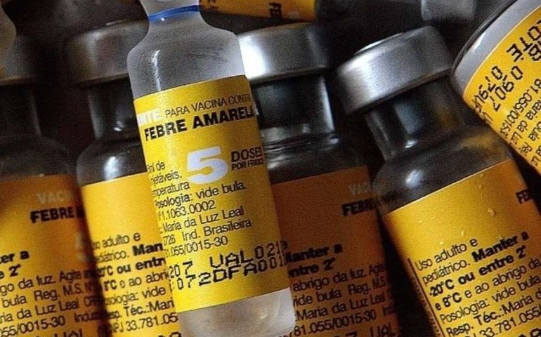 Alagoas tem quatro casos notificados de febre amarela em investigação
