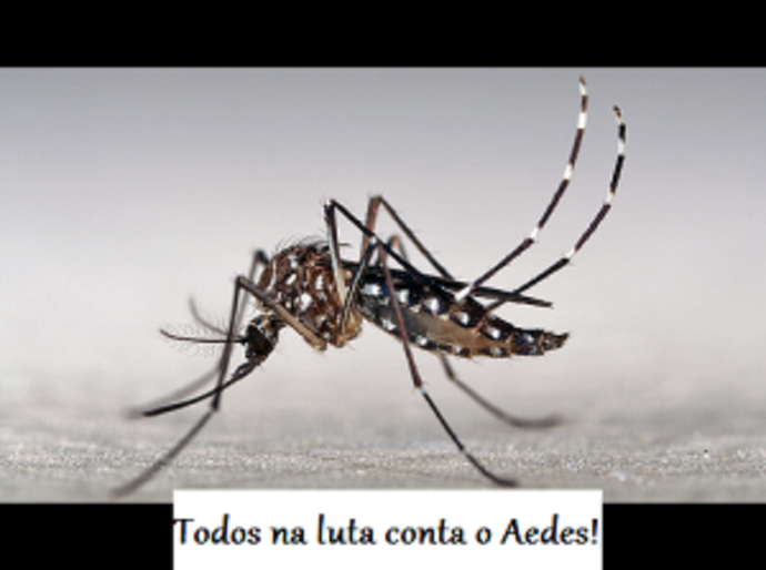 Governo de Delmiro Gouveia em ação contra o Aedes Aegypti