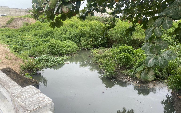 IMA cobra da Prefeitura de Arapiraca plano de manejo para jacarés