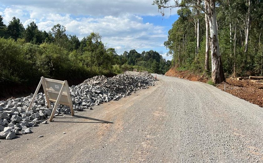 Obra de pavimentação da Estrada do Parque dos Pinheiros segue em ritmo acelerado