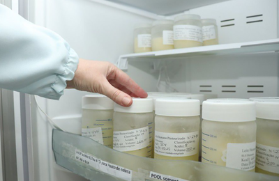 Banco de Leite Humano de Arapiraca recebe certificado de reconhecimento nacional