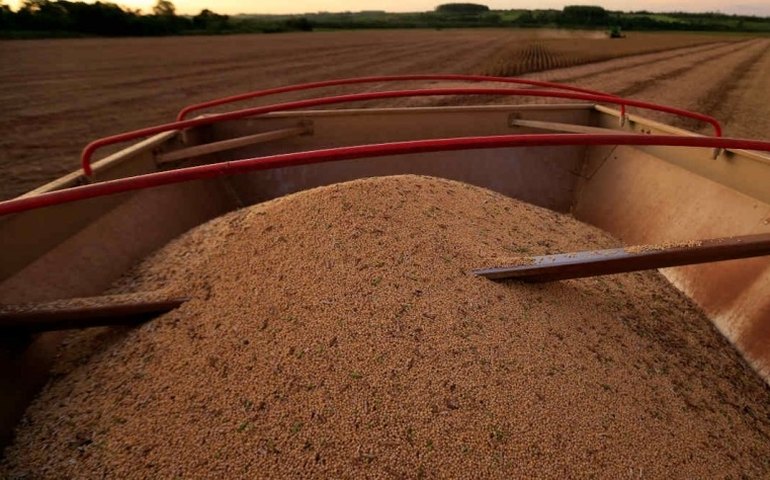 Estimativa da Conab para safra 2021/22 indica produção recorde de 271,4 mi de t