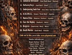 USF - Star Metal.jpg 