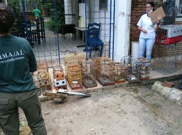 População usa aplicativo do IMA para denunciar animais silvestres em cativeiro