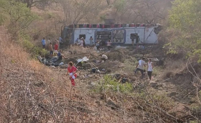 Ônibus com romeiros capota na AL-220