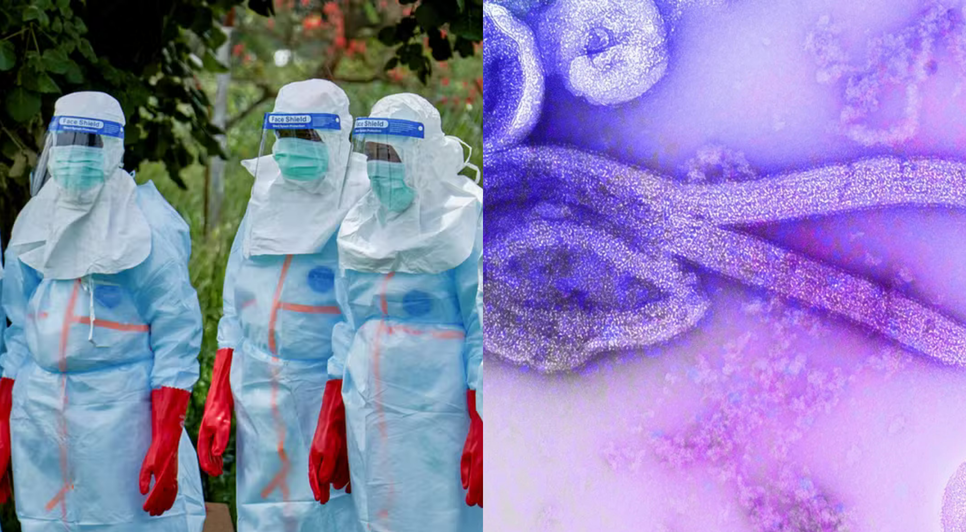 Surto de ebola em países da África causa preocupação 