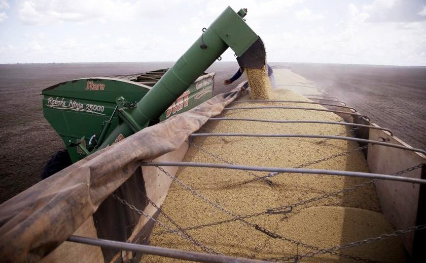 Produção de grãos deve ser recorde de 250,54 milhões de t, diz Conab