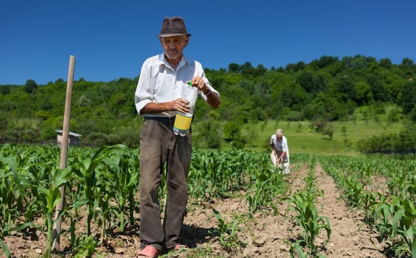 Sancionada lei que garante seguridade especial para cooperados que trabalham no campo