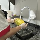 Sabia como evitar intoxicação alimentar e fique atento aos riscos da má conservação dos alimentos