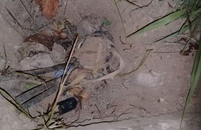 Cabos de iluminação da Pierre Chalita são furtados pela 4ª vez este ano