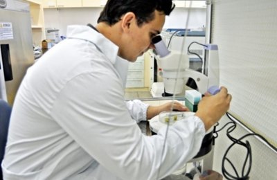 AL mira em cooperação científica internacional para atrair investidores coreanos