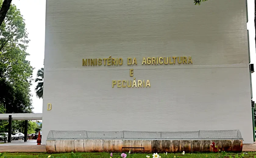 COP29: Agricultura apresenta programa de recuperação de pastagens degradadas em painel