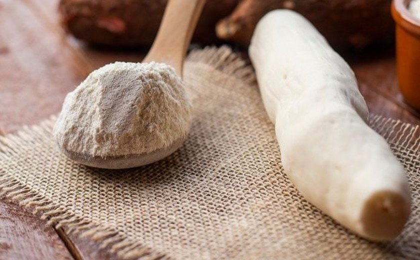 Canadá abre mercado para farelo de mandioca, macadâmia e erva-mate do Brasil