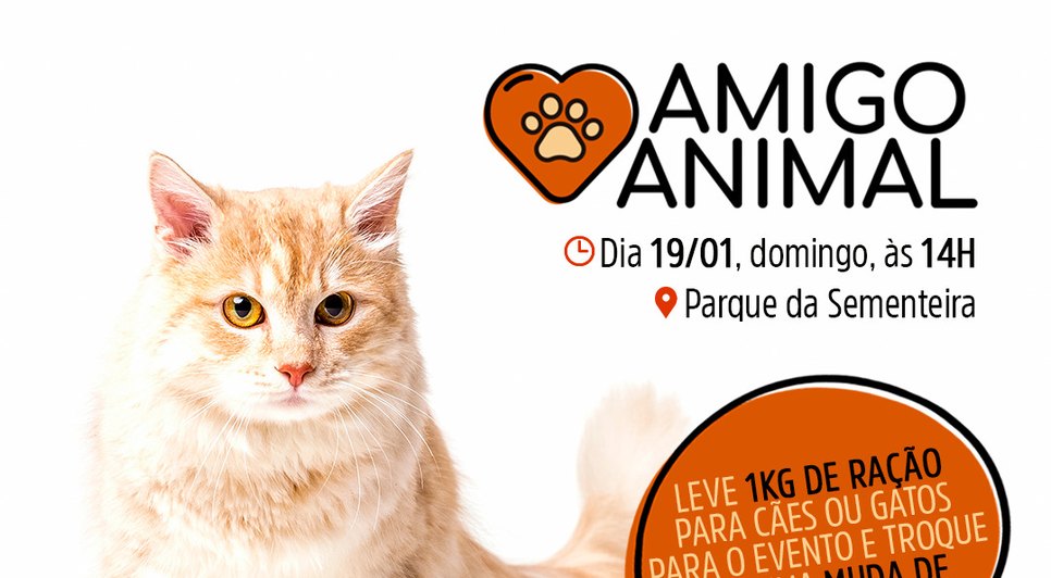 AMIGO ANIMAL / Foto: Arte Secom