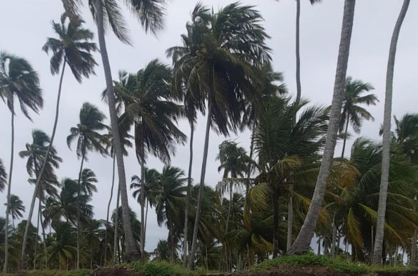 Defesa Civil de Alagoas reforça alerta de ventos fortes para os próximos dias