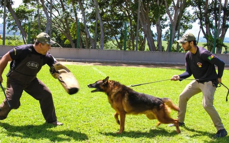 Exposição de cães, Copa Fut7 e show de Alex Kovallick são atrações do Clube do Servidor de Arapiraca