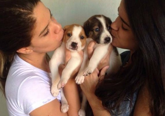 Arapiraca recebe 2ª Feira de Adoção de Animais neste sábado