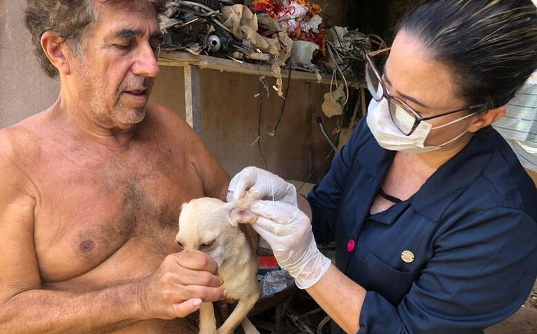 Gabinete da Causa Animal desenvolve apoio às ONGs e protetores independentes em Maceió