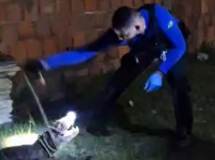 Policial Científico resgata jacaré que invadiu residência em Marechal Deodoro