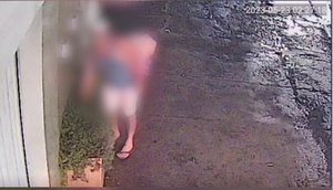 Mulher é flagrada roubando planta em residência na Zona Oeste de Aracaju / Foto: Foto: Tv Atalaia/ Arquivo