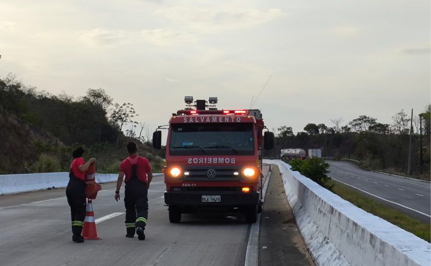 Caminhão baú é destruído por incêndio em São Miguel dos Campos; motorista escapou