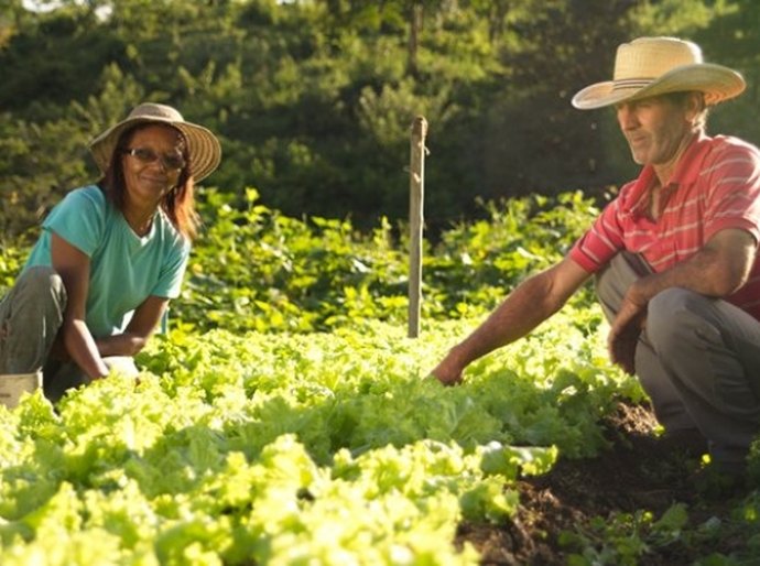 Desenvolve deve alcançar R$ 16 milhões em liberações em 2016