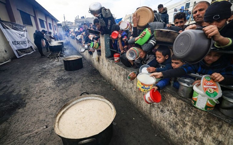 Reduzir o desperdício de alimentos pela metade salvaria 153 milhões de pessoas da fome