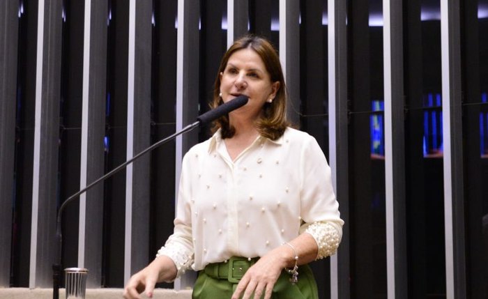 Carmen Zanotto, relatora, recomendou a aprovação da proposta