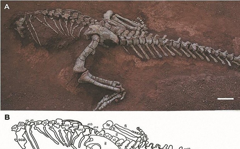Cientistas chineses identificam nova espécie de dinossauro