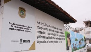 depama4-768x512-1.jpeg