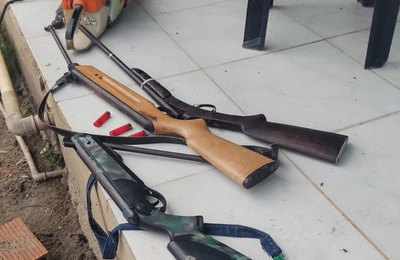 PM-AL apreende armas, resgata 60 pássaros silvestres e interdita abate clandestino em operação