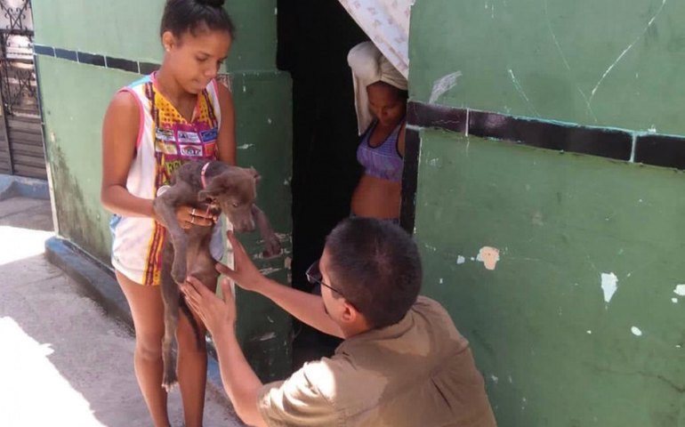Brota na Grota: cães e gatos recebem assistência médica veterinária em casa