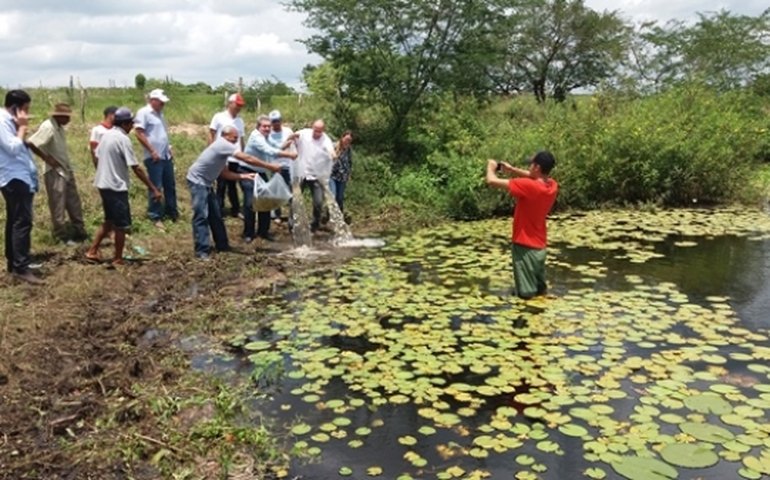 Pequenos agricultores são beneficiados com 40 mil alevinos