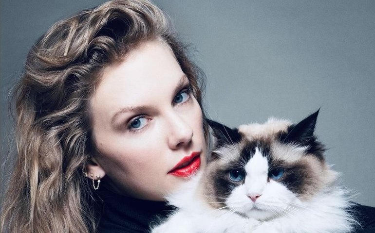 Taylor Swift, Bad Bunny e Drake: Spotify divulga lista de artistas e músicas mais tocados de todos os tempos