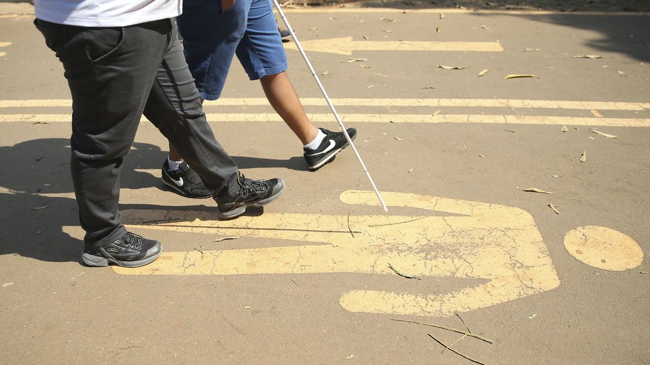 Passagem do Dia Nacional de Luta da Pessoa com Deficiência é destaque em plenário