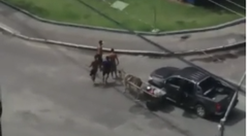 carroceiro agressão