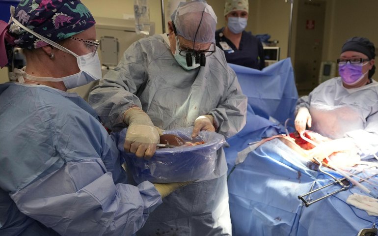 Brasil bate recorde de transplantes com 30 mil procedimentos em 2024