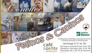 EXPOSIÇÃO CANINO FELINO